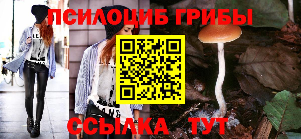 Аша  Галлюциногенные грибы мицелий  дарнет шоп  Вход с VPN 