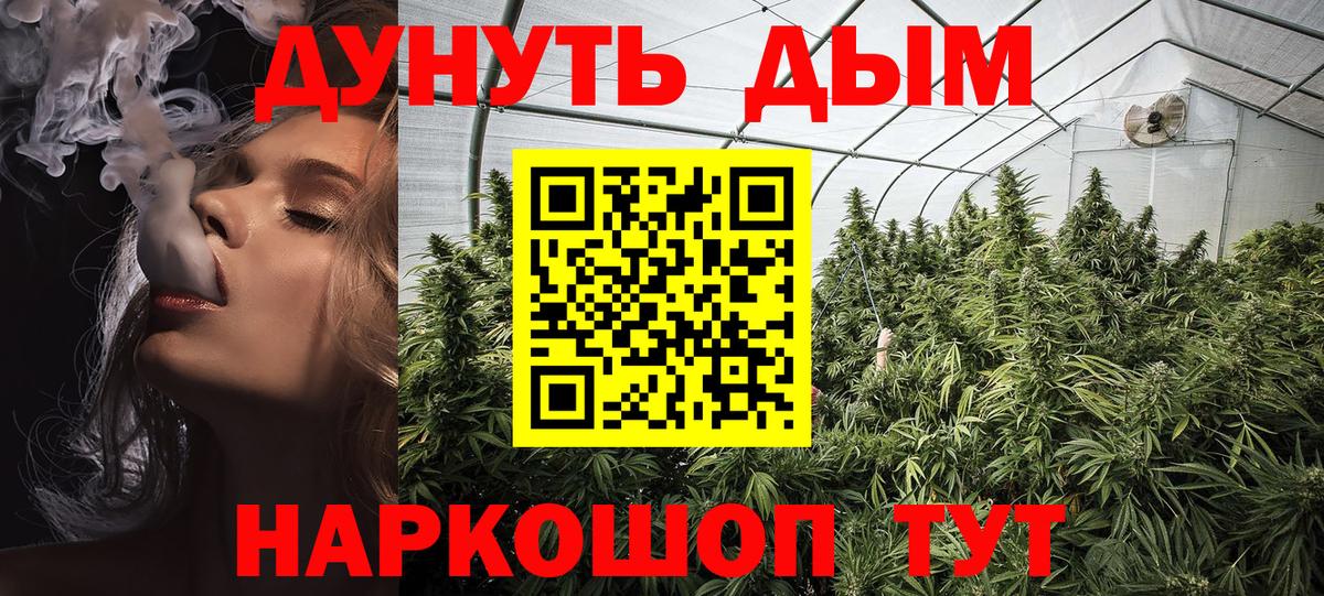 Марихуана конопля Аша